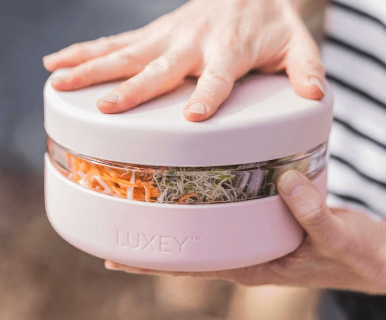 Reusable Glass Lunch Container
