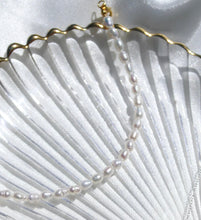 Load image into Gallery viewer, OCEA Collective - Summer Days Pearl Choker Silver