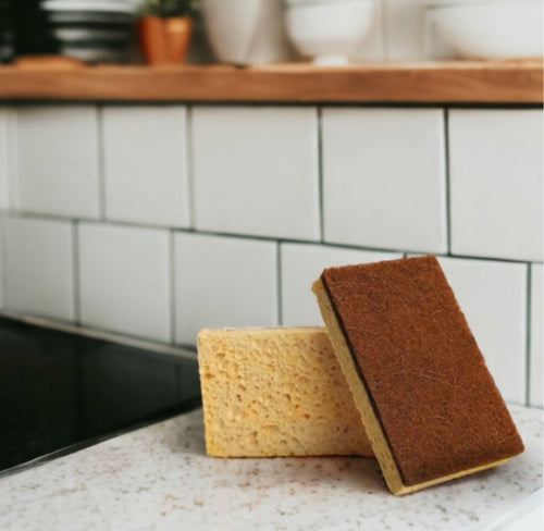 Lil’ Bit - Coconut & Wood Pulp Scrubber Sponge 3 pack