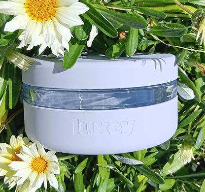 Reusable Glass Lunch Container